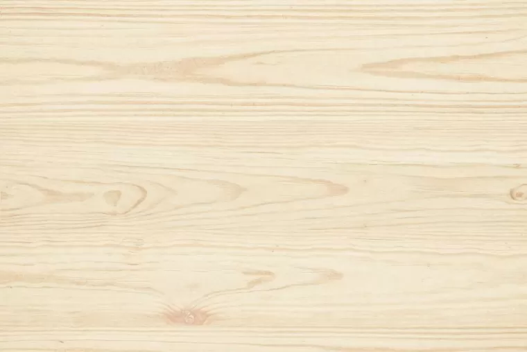 Bois résineux ou feuillus, Bourg-en-Bresse, Vignon Bois